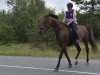 1_Heste_044